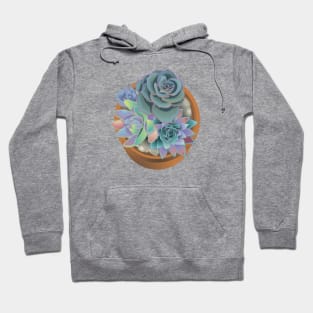 Succulent pot Hoodie